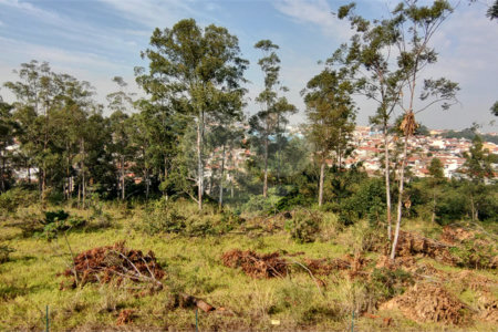 Casa à venda com 3 suítes no condomínio Central Parque, Salto - SP