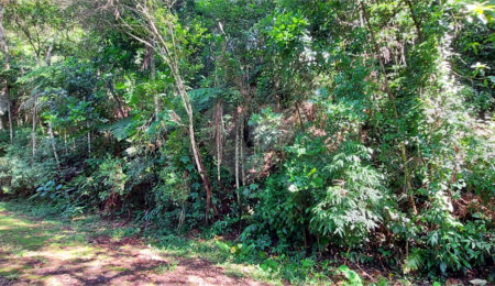 Terreno à venda no condomínio Sausalito, Mairiporã - SP