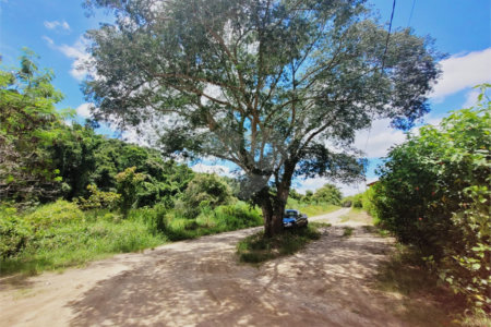 Lote à Venda – Oportunidade! 1.000 m² – Recanto Campestre Internacional de Viracopos (Gleba 4) – Indaiatuba/SP