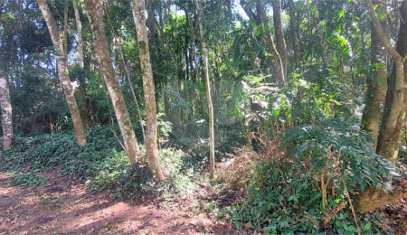 Terreno à venda no condomínio Sausalito, Mairiporã - SP