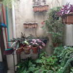 Casa à venda com 3 quartos, sendo 1 suíte, no condomínio Barbará II, São Paulo - SP