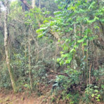 Terreno à venda em Serra da Cantareira, Mairiporã, SP