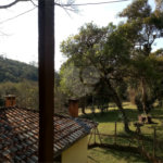 Sítio à venda com 6 quartos no Centro, Mogi das Cruzes, SP