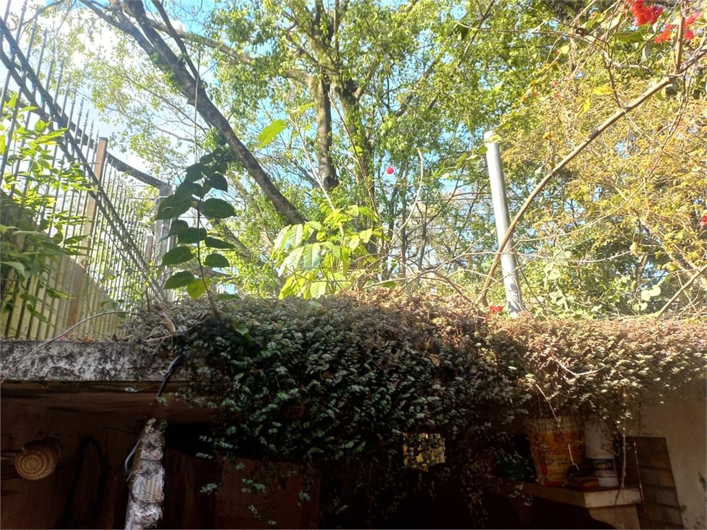 Casa à venda com 3 quartos, sendo 2 suítes,  em Morumbi, São Paulo, SP