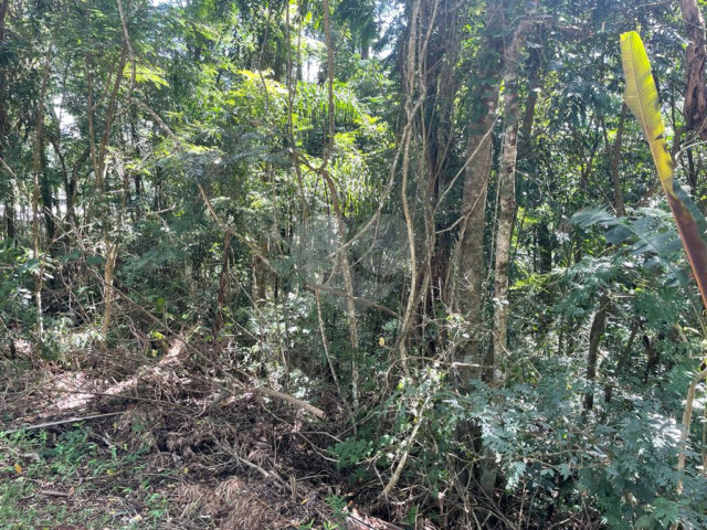 Terreno à venda no condomínio Cantareira, Mairiporã - SP