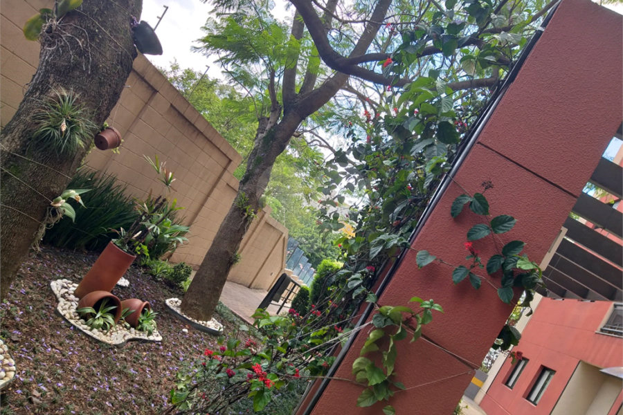 Apartamento à venda com 2 quartos em Limão, São Paulo, SP