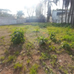 Terreno à venda em Alto da Boa Vista, São Paulo, SP