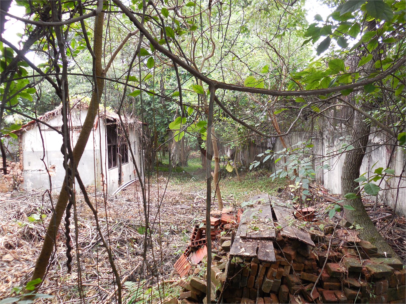Terreno à venda em Alto da Boa Vista, São Paulo, SP