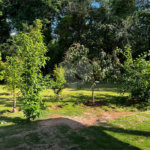 Chácara à venda com 6 quartos, sendo 1 suíte, em Jardim Estância Brasil, Atibaia, SP