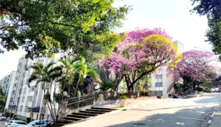 Apartamento à venda com 2 quartos em Jardim Santa Mônica, São Paulo, SP