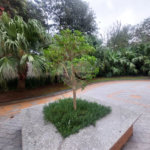 Apartamento à venda com 3 quartos, sendo 1 suíte, em Butantã, São Paulo, SP
