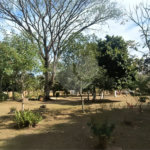 Chácara dos Sonhos à Venda – São Carlos/SP – Recreio Campestre