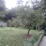 Terreno à venda com 1 quarto, sendo 2 suítes, em Horto Florestal, São Paulo, SP