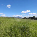 Terreno à venda no condomínio Elementum, Atibaia - SP