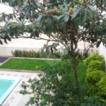 Casa à venda com 4 quartos, sendo 3 suítes, em Jardim Leonor, São Paulo, SP