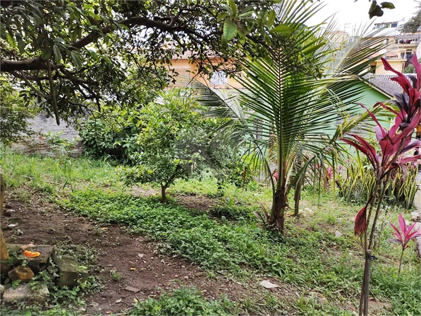 Terreno à venda em Vila Gustavo, São Paulo, SP