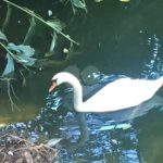 Sítio à venda com 3 suítes em Recreio Costa Verde, Itatiba, SP