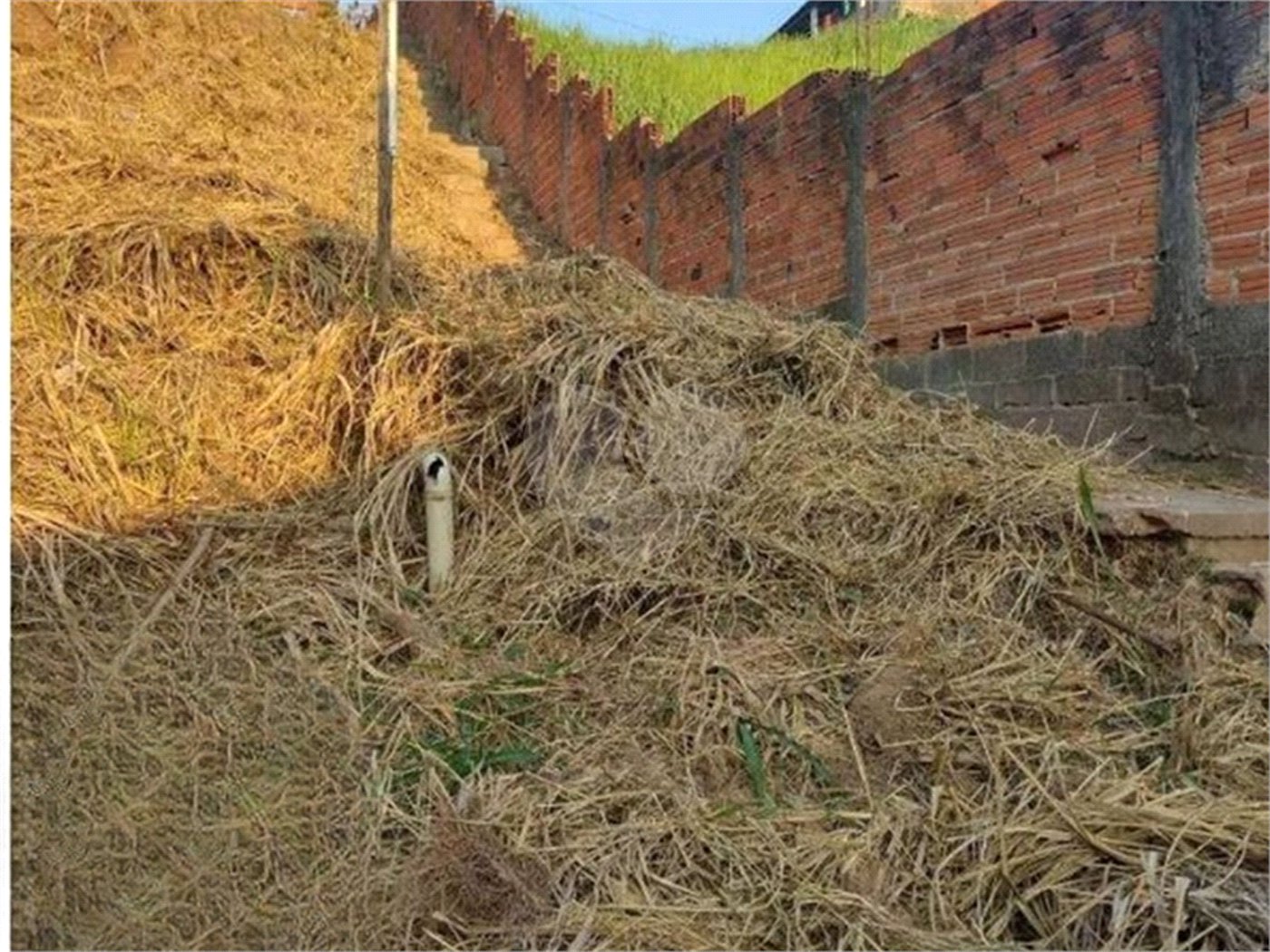 Terreno à venda em Limão, São Paulo, SP