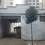 Terreno à venda em Santa Cecília, São Paulo, SP