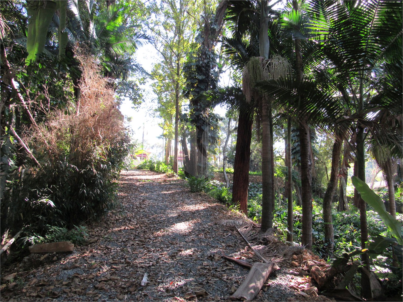 Terreno à venda no condomínio Chácara Flora, São Paulo - SP