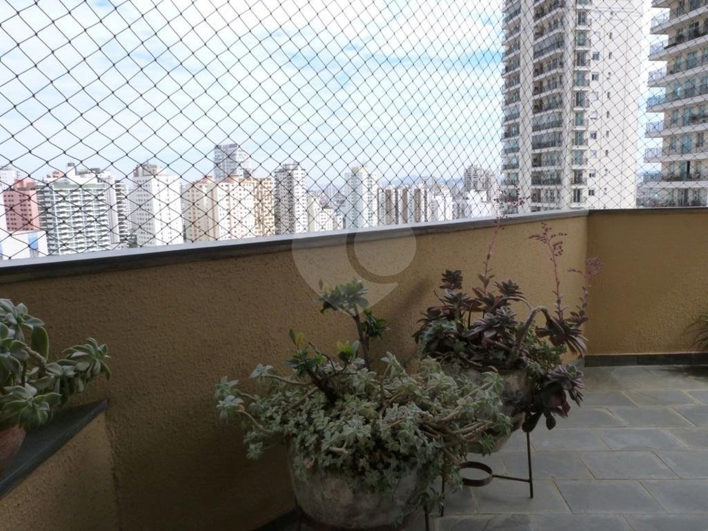 Apartamento à venda com 3 quartos, sendo 1 suíte, em Água Fria, São Paulo, SP