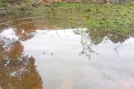 Sítio à venda com 2 quartos em Área Rural de Lagoinha, Lagoinha, SP