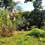 Casa à venda com 4 quartos em Capela, Vinhedo, SP