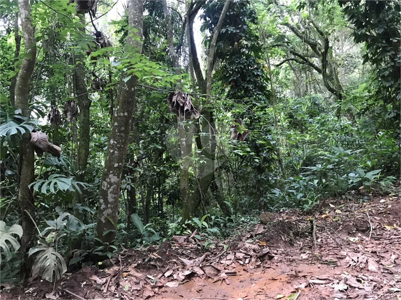 Terreno à venda em Serra da Cantareira, Mairiporã, SP