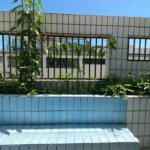 Cobertura com 4 dormitórios à venda, 400 m² por R$ 2.580.000,00 - Ponta da Praia - Santos/SP