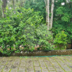 Casa à venda com 4 suítes no condomínio Jardim da Montanha I, Mairiporã - SP