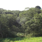 Área de Terra à venda em Porteira Preta, Mogi das Cruzes, SP