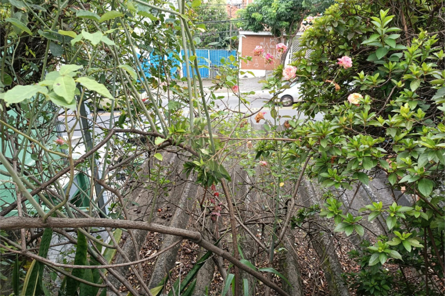 Sobrado à venda com 2 quartos em Casa Verde, São Paulo, SP