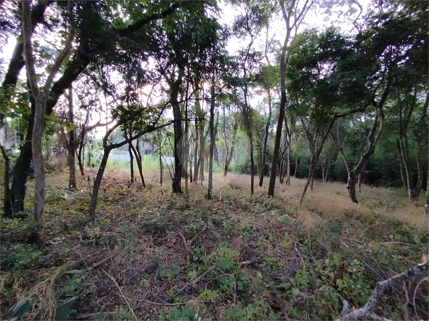 Terreno à venda em Chácaras do Guacuri, Itupeva, SP