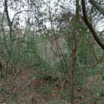 Terreno à venda em Chácaras Alpina, Valinhos, SP