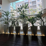 Apartamento à venda com 1 suíte em Vila Polopoli, São Paulo, SP