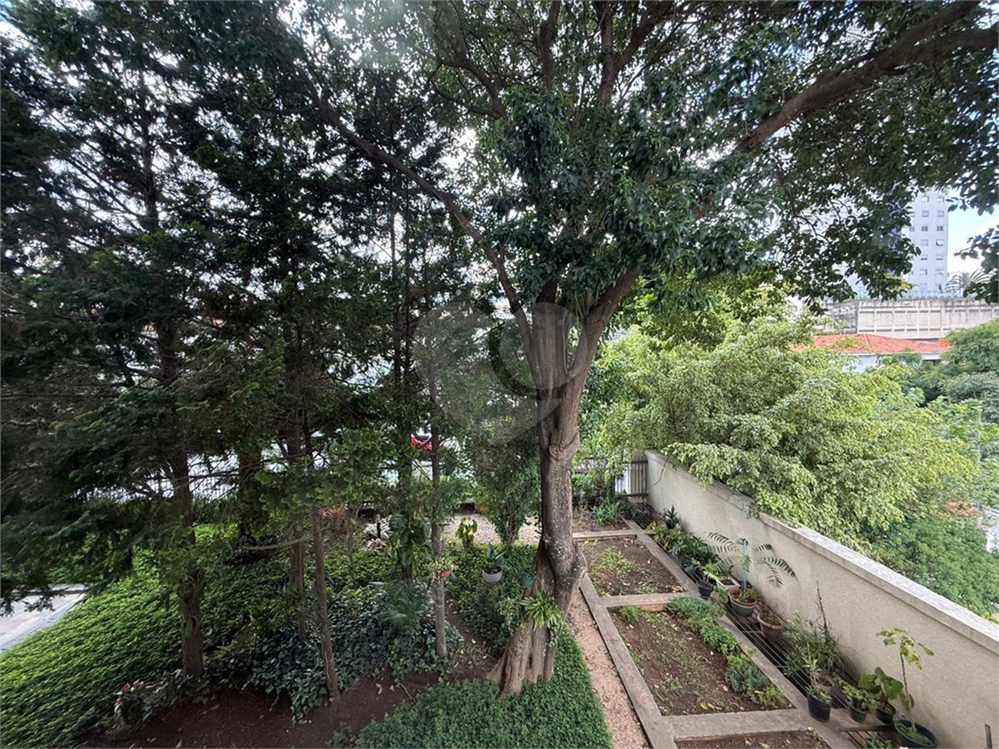 Apartamento à venda com 3 quartos, sendo 1 suíte, em Vila Paulicéia, São Paulo, SP