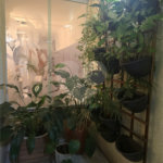 Sobrado à venda com 3 quartos, sendo 1 suíte, em Alto da Mooca, São Paulo, SP