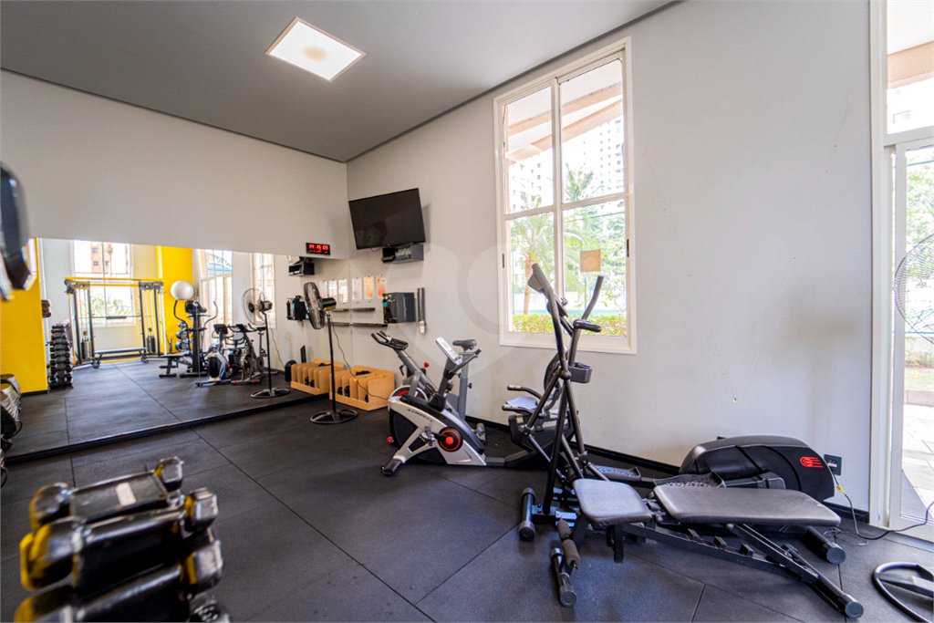 Apartamento à venda com 3 quartos, sendo 1 suíte, em Vila Mascote, São Paulo, SP