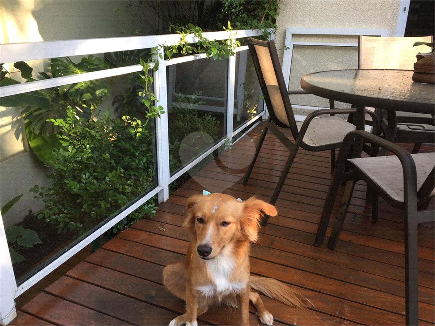 Sobrado à venda com 4 quartos, sendo 1 suíte, em Jardim Novo Mundo, São Paulo, SP