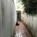 Sobrado à venda com 4 quartos, sendo 2 suítes,  em Vila Mariana, São Paulo, SP