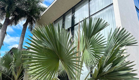 Casa à venda com 5 suítes no condomínio Tamboré II, Santana de Parnaíba - SP