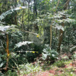 Terreno à venda no condomínio Cantareira, Mairiporã - SP