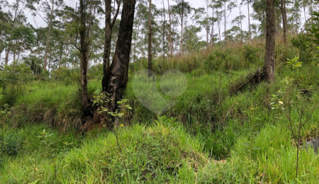 Terreno à venda em Serra da Cantareira, Mairiporã, SP