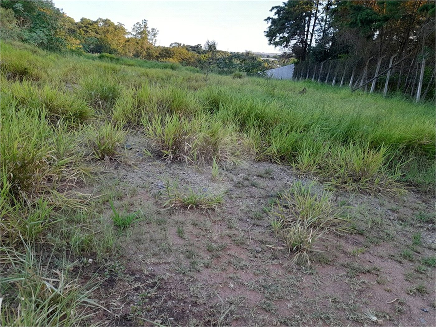 Terreno à venda em Jardim Paraíso do Tanque, Atibaia, SP