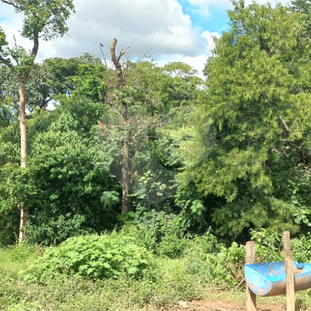Sítio à venda em Leitão, Louveira, SP