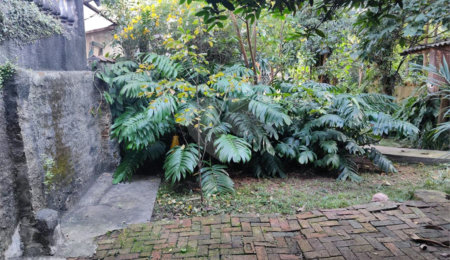Terreno à venda em Tucuruvi, São Paulo, SP