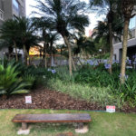 Apartamento à venda com 2 quartos em Parque Reboucas, São Paulo, SP