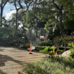 Apartamento à venda com 4 quartos, sendo 1 suíte, em Alto da Boa Vista, São Paulo, SP