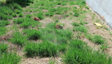 Terreno à venda em Jardim Paulista, Atibaia, SP