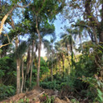 Terreno à venda no condomínio Sausalito, Mairiporã - SP